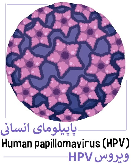 ویروس پاپیلومای انسانی