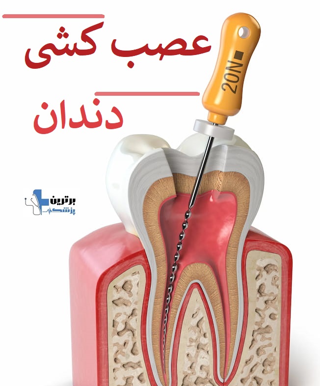 معرفی دندانپزشک در منطقه 6