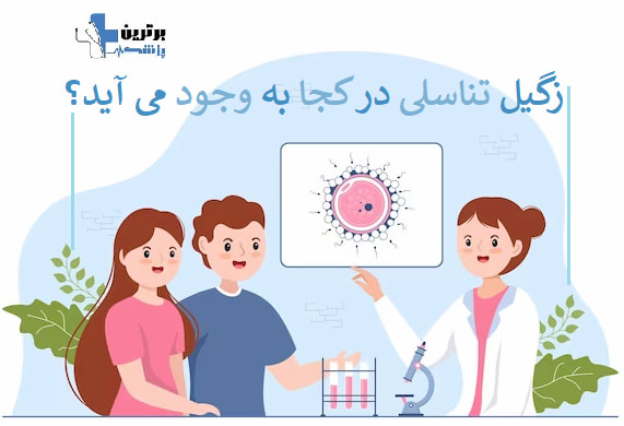 معرفی بهترین دکتر درمان زگیل تناسلی در شمال تهران منطقه 1